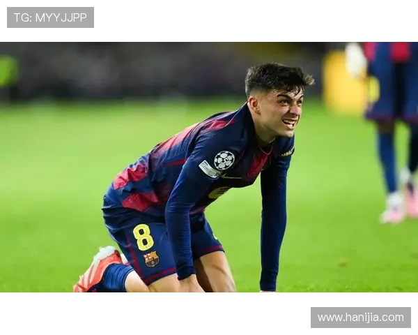 佩德里弗里克评价